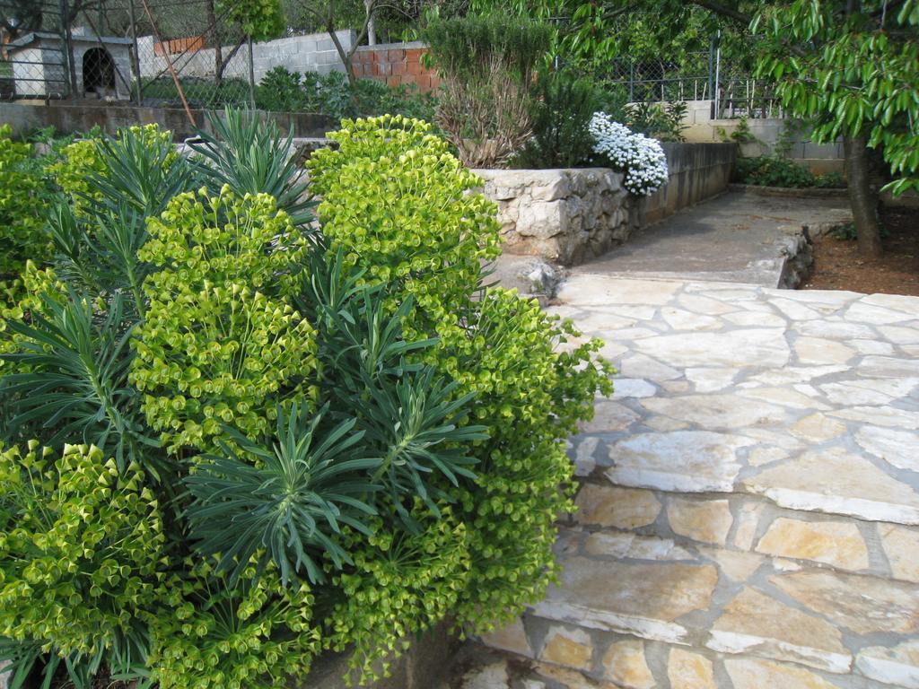 Apartment Soldo Zadar Rom bilde